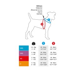 Guide de taille Curli harnais chien