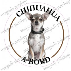 Stickers chihuahua à bord
