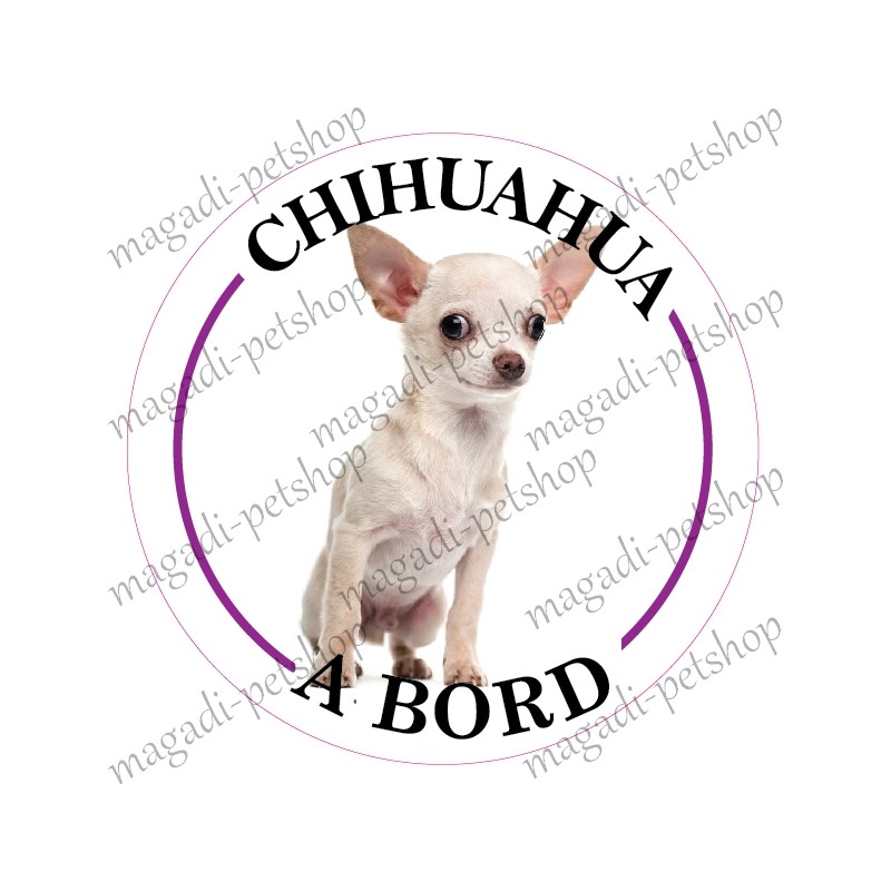 Stickers chihuahua à bord
