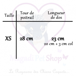 Pull pour chien XS