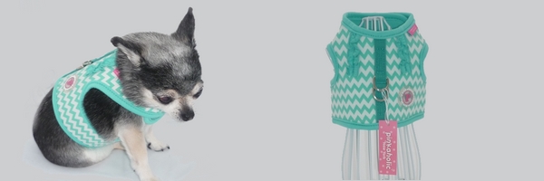 Magadi Petshop; Boutique de vêtements, harnais et accessoires pour  chihuahuas et petits chiens